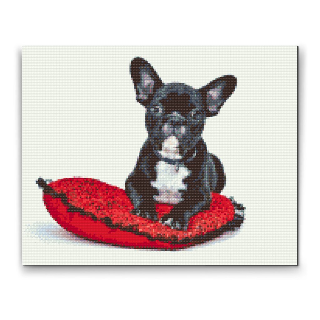 Pintura de diamante - Bulldog negro en un cojín