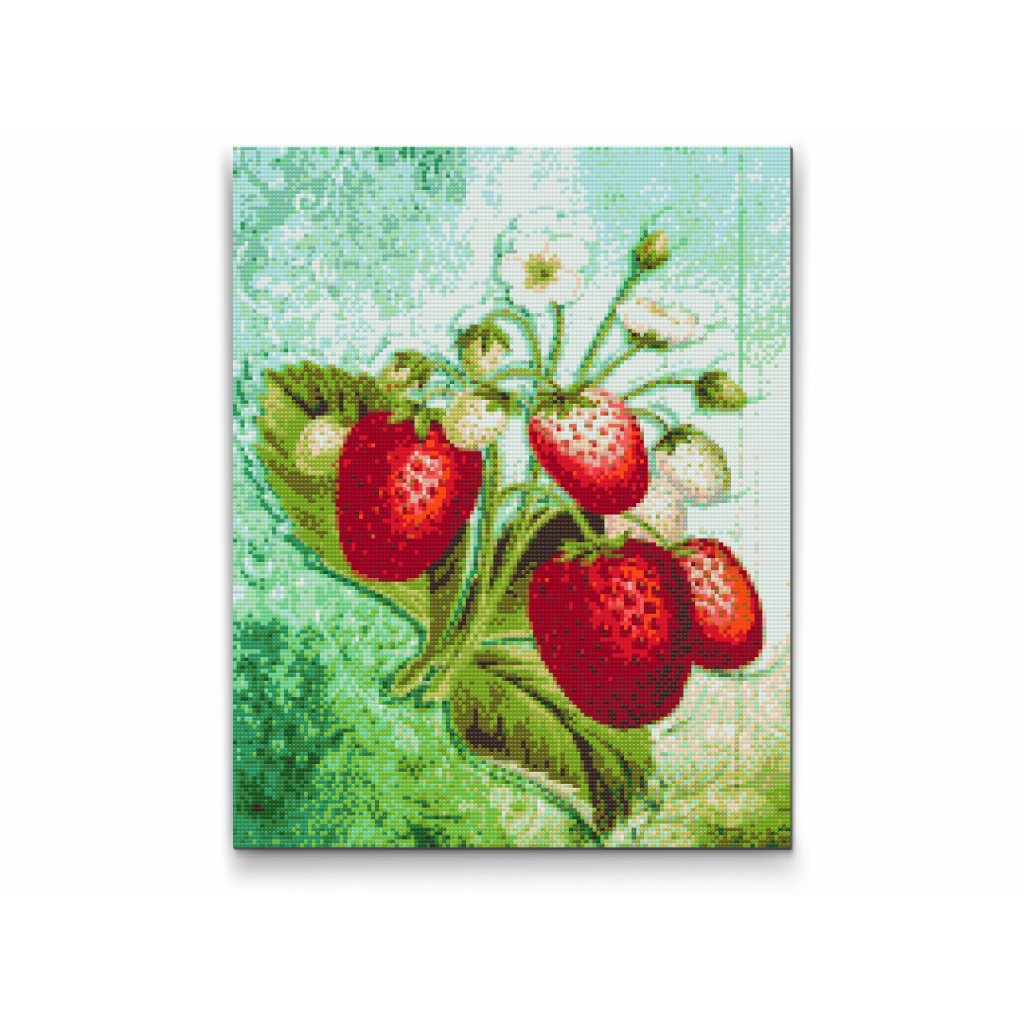 Pintura de diamante - Temporada de fresas