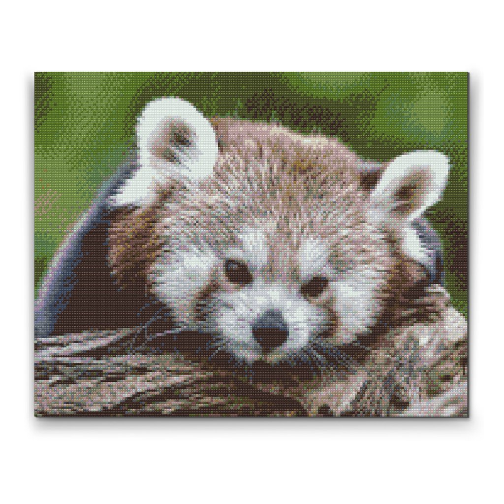 Pintura de diamante - Panda rojo