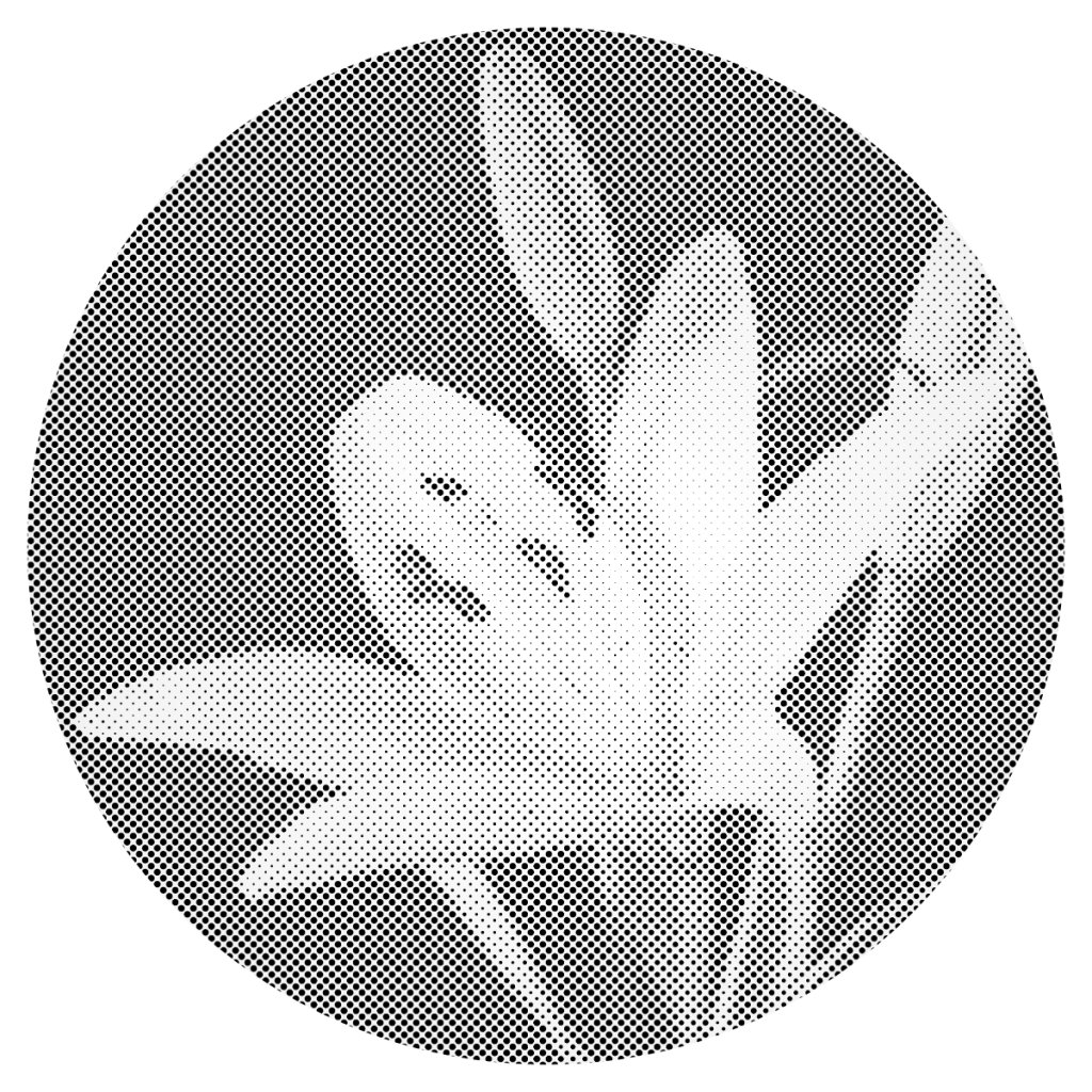 Puntillismo – Lirios