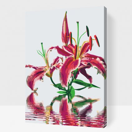 Pintura por números - Lirio rosa