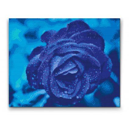 Pintura de diamante - Rosa azul