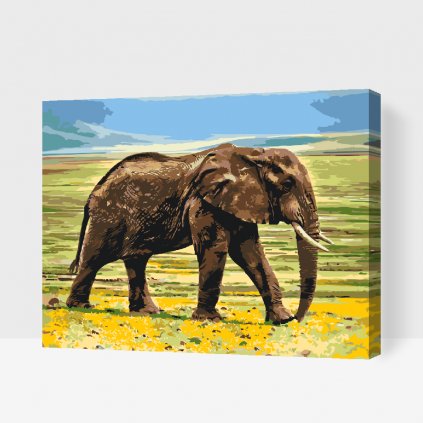 Pintura por números - Elefante de safari