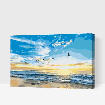 Pintura por números - Pájaros volando sobre el mar