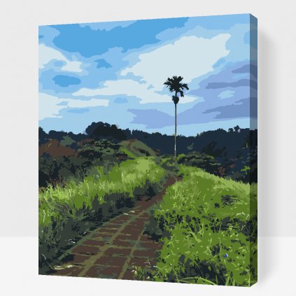 Pintura por números - Sendero del arroz en Bali