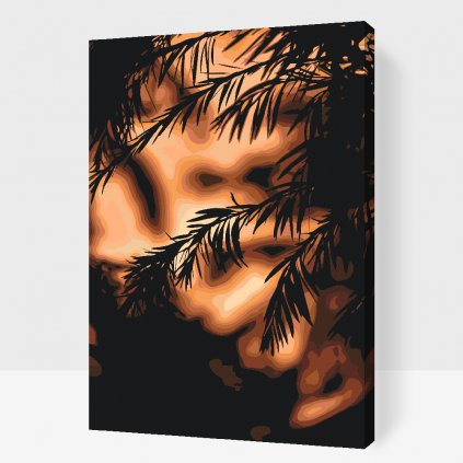 Pintura por números - Silueta del atardecer