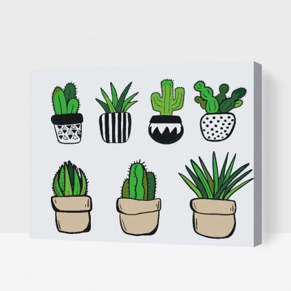 Pintura por números - Cactus