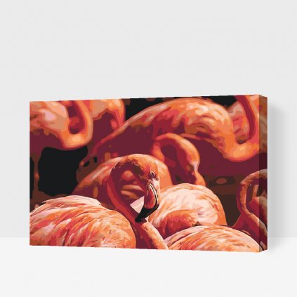 Pintura por números - Flamencos 2