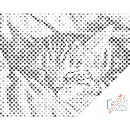 Puntillismo – Gatito durmiente