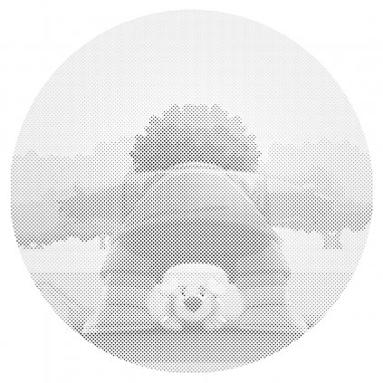 Puntillismo – Amiguitos