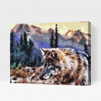 Pintura por números - Lobo en la naturaleza