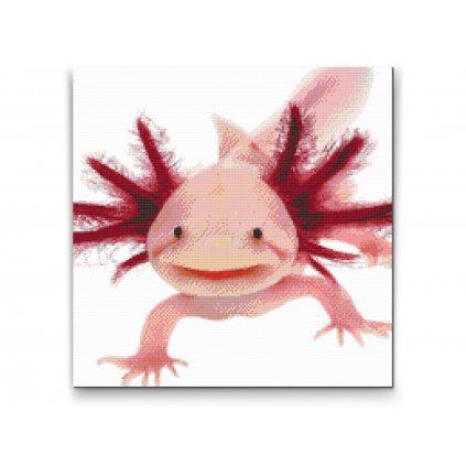 Pintura de diamante - Axolotl 3 