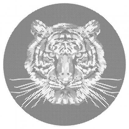 Puntillismo – Tigre con fondo negro