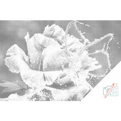 Puntillismo – Rosa y mariposa hecha de gotas de agua
