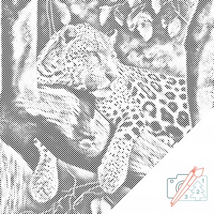 Puntillismo – Leopardo moteado
