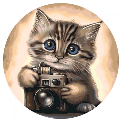 Pintura por números - Gatito con una cámara