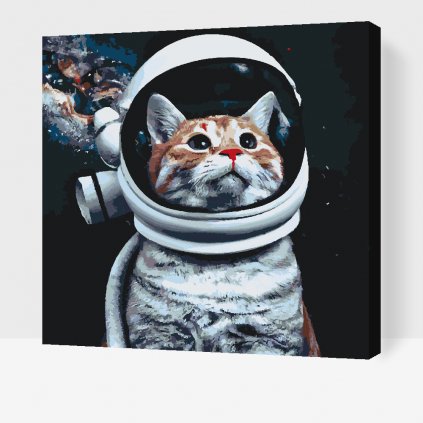 Pintura por números - Quiero ser un astronauta