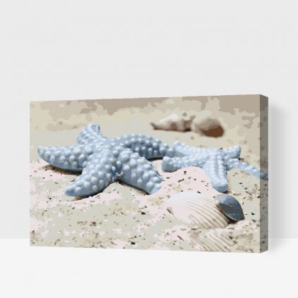 Pintura por números - Estrella de mar en la arena