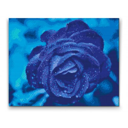 Pintura de diamante - Rosa azul