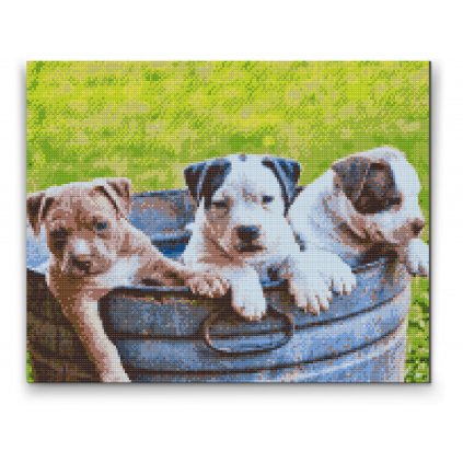 Pintura de diamante - Tres cachorros