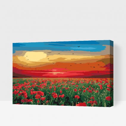 Pintura por números - Campo de amapolas al atardecer