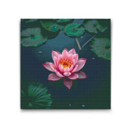 M2_Pintura_con_diamantes_-_Flor_de_loto_rosa