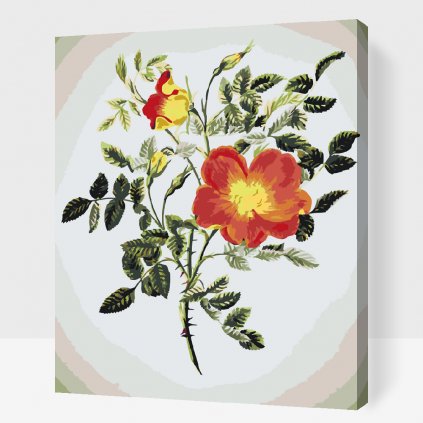 Pintura por números - Flores vintage VI