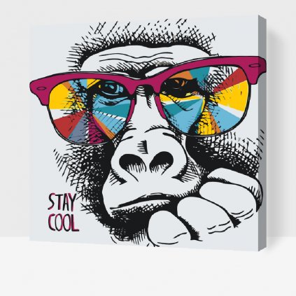 Pintura por números - Stay cool