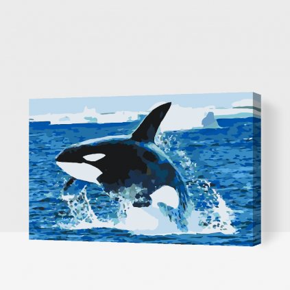 Pintura por números - Salto de orca