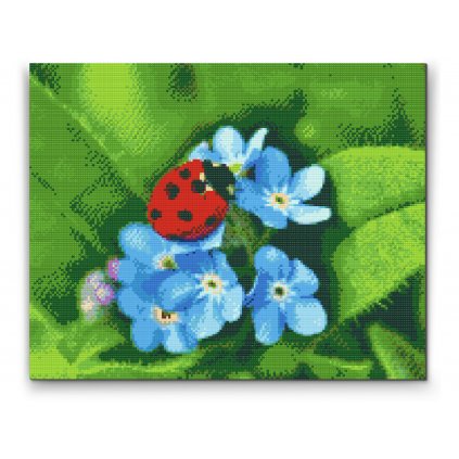 Pintura de diamante - Mariquita sobre flores azules