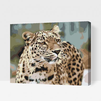 Pintura por números - Leopardo en la naturaleza