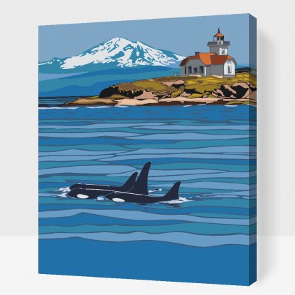 Pintura por números - Orcas