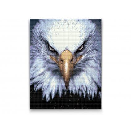 Pintura de diamante - Cabeza de águila