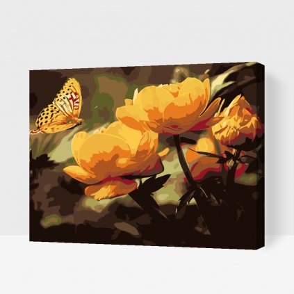 Pintura por números - Mariposa con flores