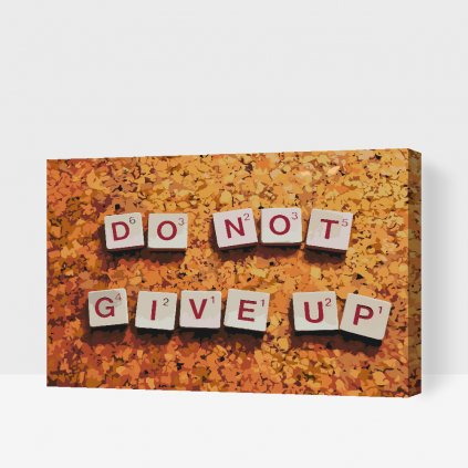 Pintura por números - Do not give up