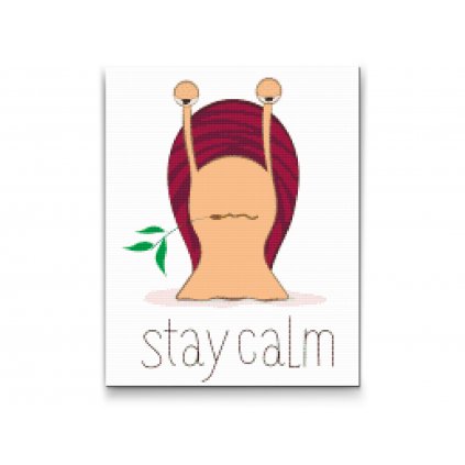 Pintura de diamante - Caracol «Stay calm»