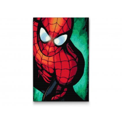 Pintura de diamante - Spider-Man 2