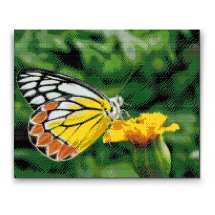 Pintura de diamante - Mariposa sobre una flor amarilla