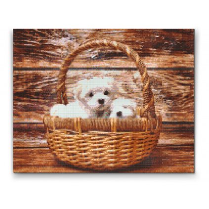 Pintura de diamante - Perros en una cesta