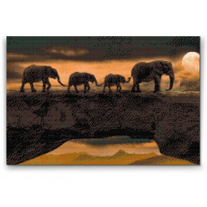 Pintura de diamante - Vagando con elefantes