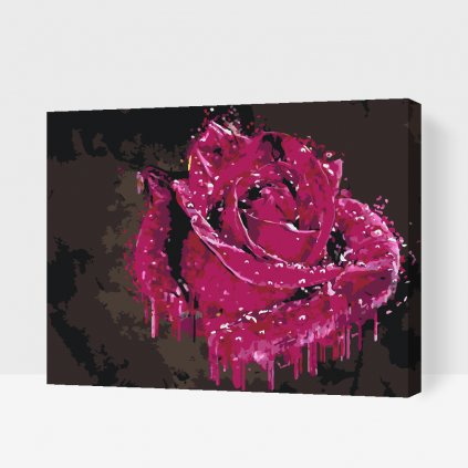 Pintura por números - Rosa ornamental