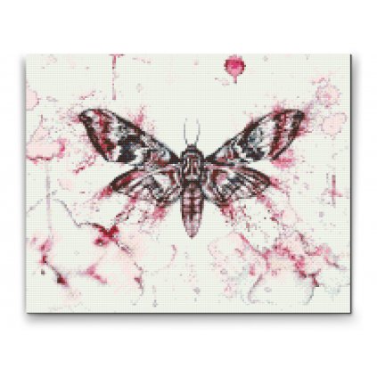 Pintura de diamante - Pintura de mariposa