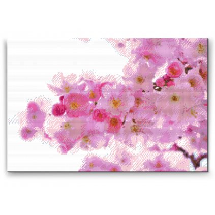 Pintura de diamante - Cerezo en flor