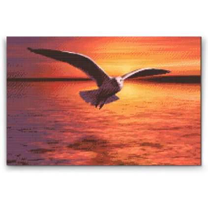 Pintura de diamante - Gaviota sobre el mar