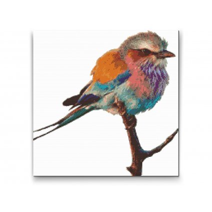 Pintura de diamante - Pájaro en una rama