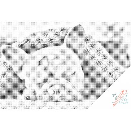 Puntillismo – Bulldog cansado