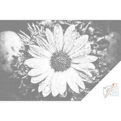 Puntillismo – Gotas en una flor