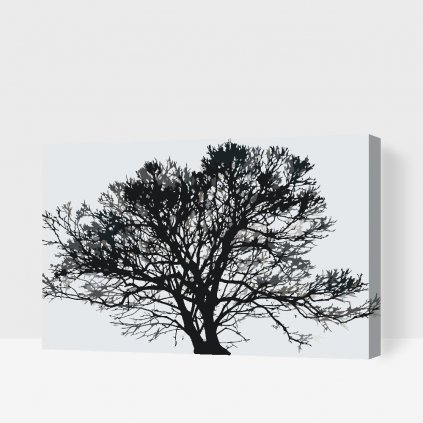 Pintura por números - Árbol blanco y negro