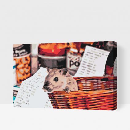 Pintura por números - Hámster de compras