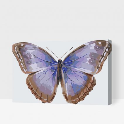 Pintura por números - Alas de mariposa